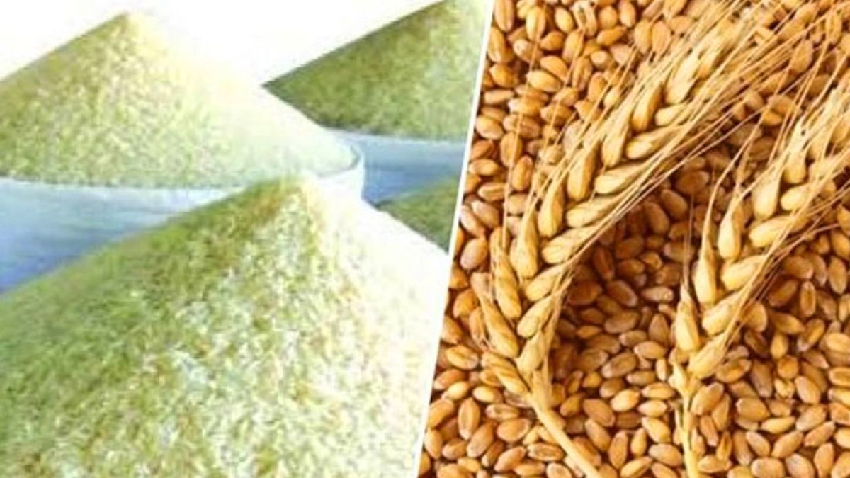 চালে স্বয়ংসম্পূর্ণতা, গমে আমদানিনির্ভরতা